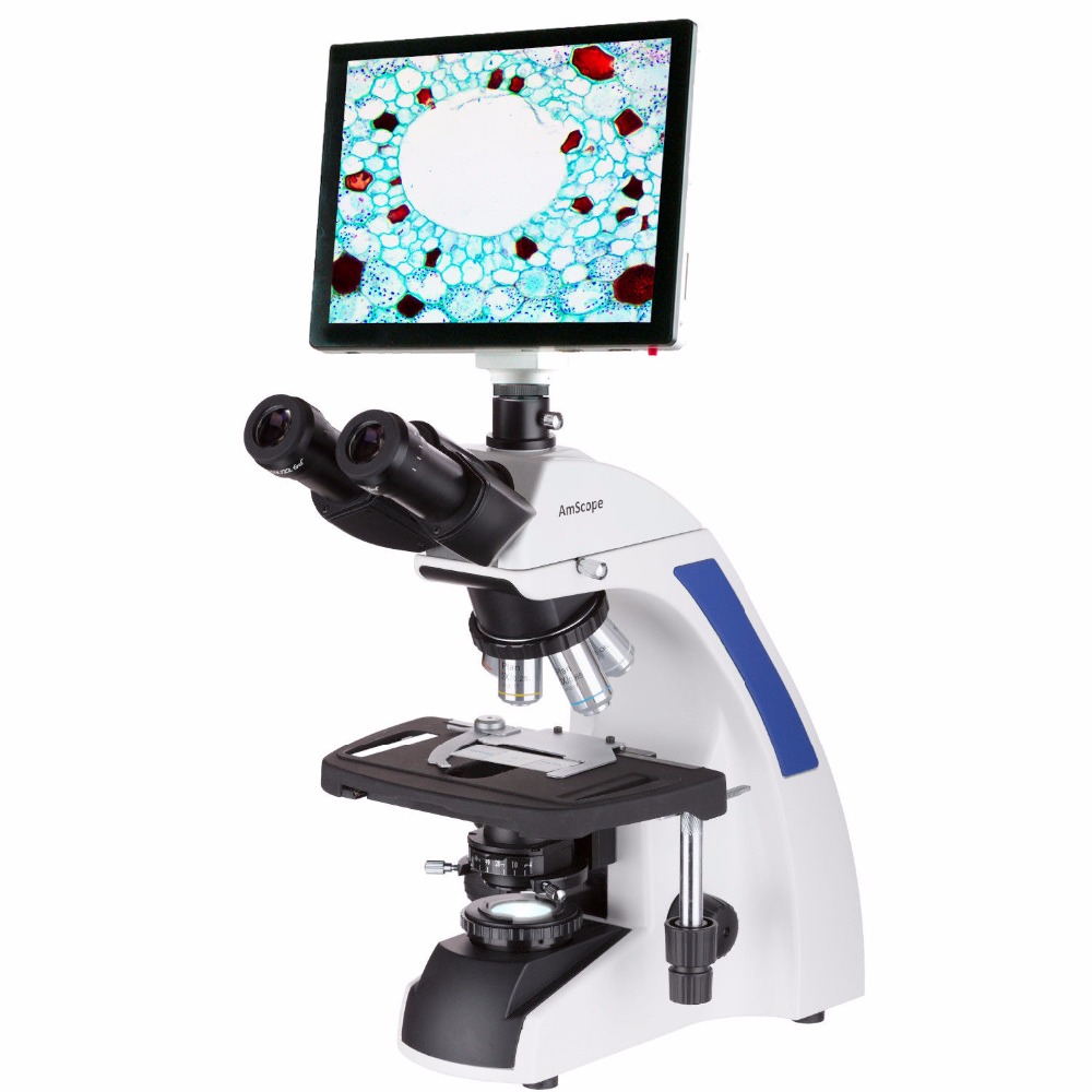 Amscope Microscope Compound 40X-1000X - مجهر مركب ثلاثي العينية من سلسلة