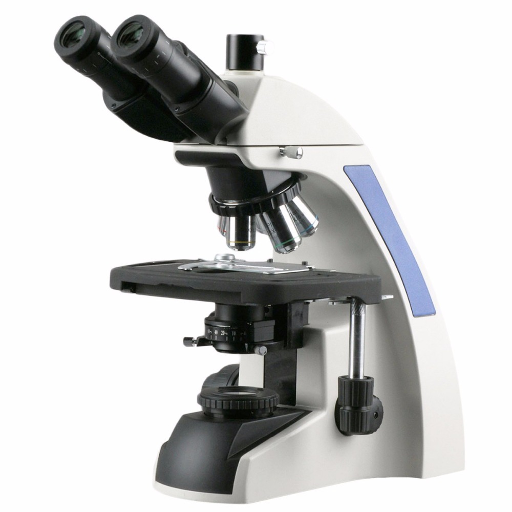 Amscope Microscope Compound 40X-1000X - مجهر مركب ثلاثي العينية من سلسلة