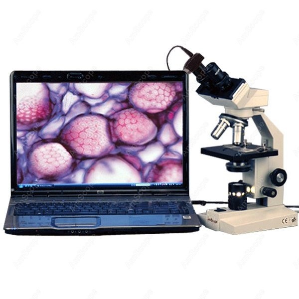 Amscope Microscope Compound 40X-1000X - مجهر بيولوجي مركب ثنائي العينية من