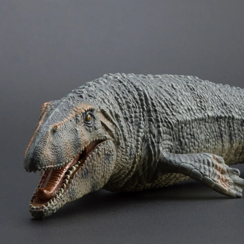 مجسم حيوان بحري كبير محاكي للب - مراجعة Science Toys وسعره