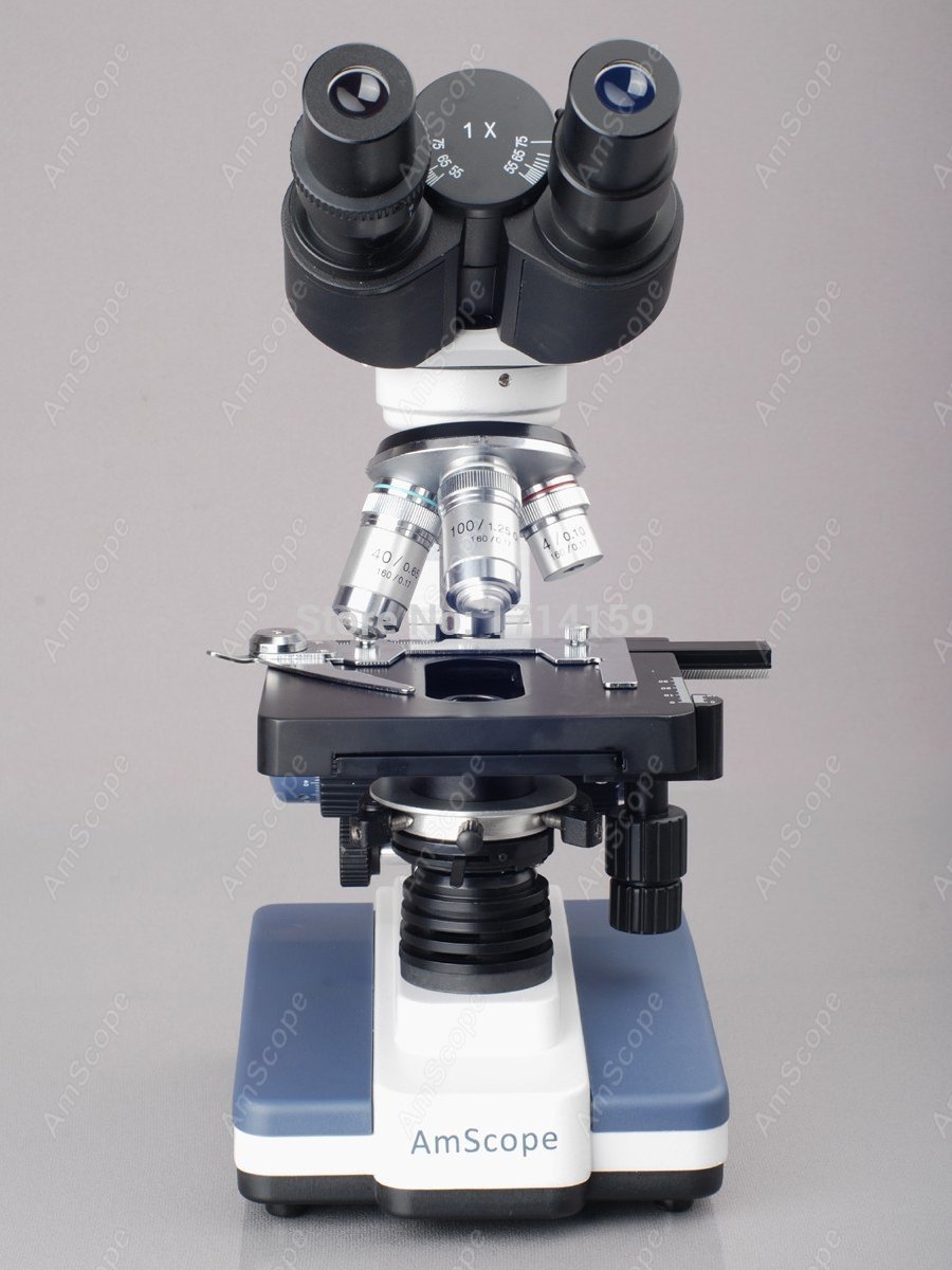 مجهر مركب ثنائي العينية LED لل - مراجعة Amscope Microscope Compound 40X-1000X وسعره