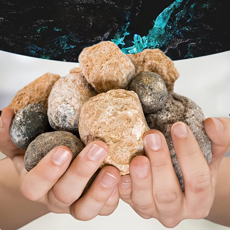 10/20 قطعة بيضات كوارتز طبيعية - مراجعة Geode Crystal Break وسعره