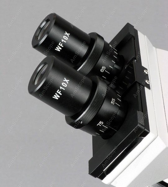 مجهر بيولوجي مركب ثنائي العيني - مراجعة Amscope Microscope Compound 40X-1000X وسعره