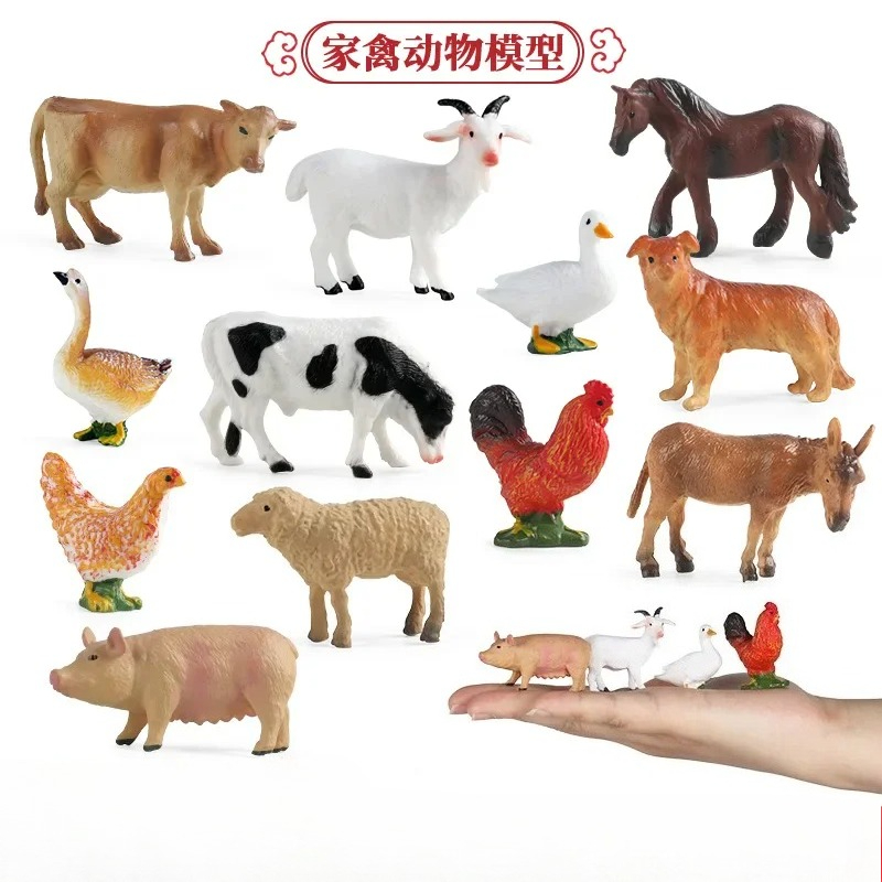 التعليم أداة التدريس الدواجن ا - مراجعة Science Toys وسعره