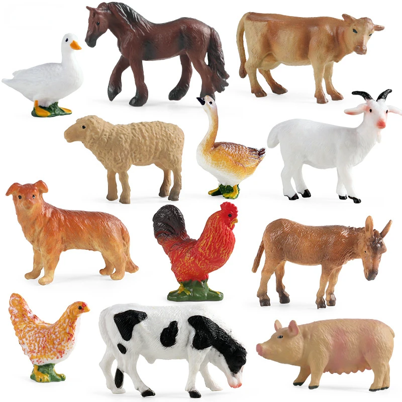 التعليم أداة التدريس الدواجن ا - مراجعة Science Toys وسعره